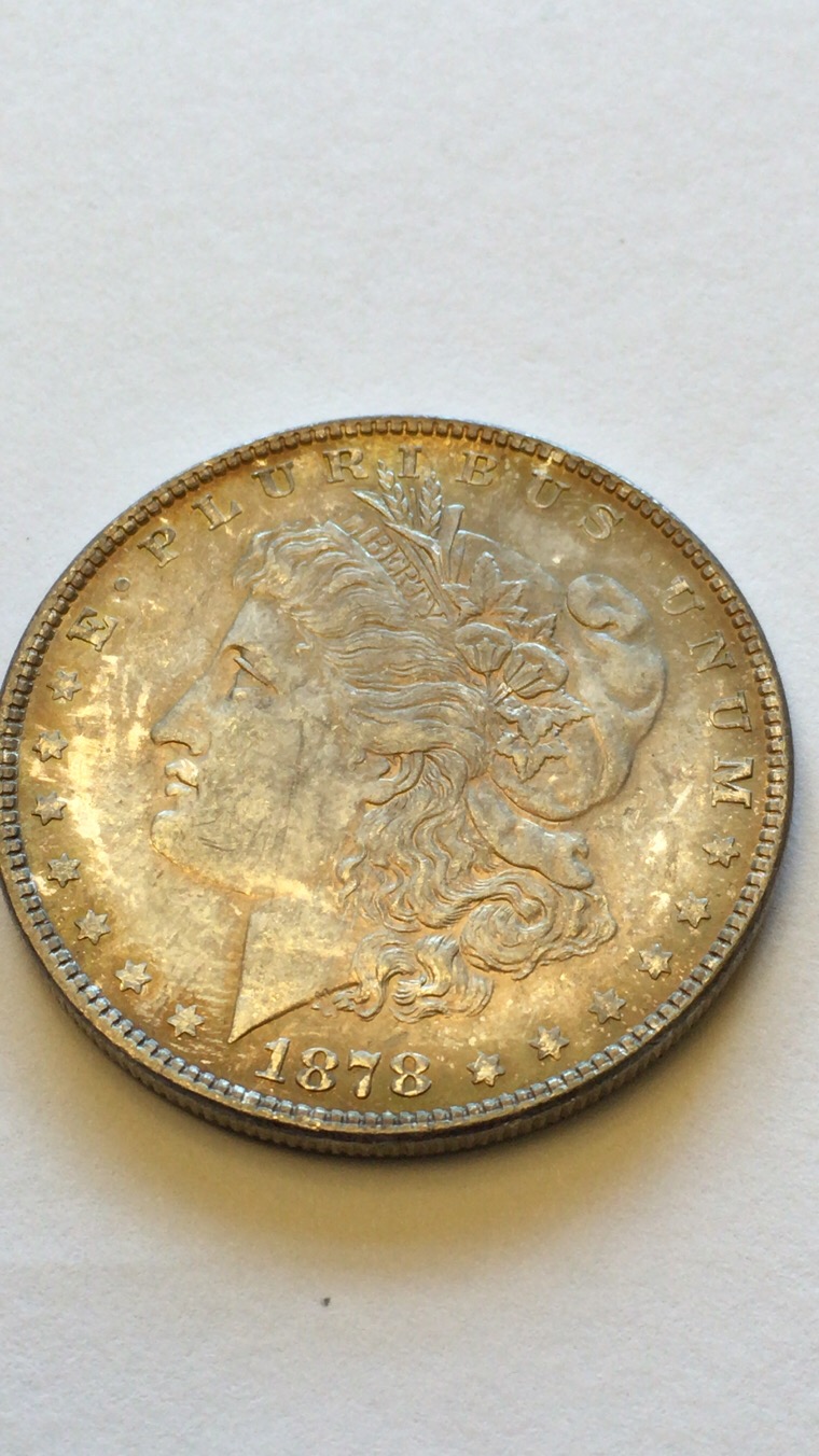 1879-Morgan-7/8-Tail-Feather