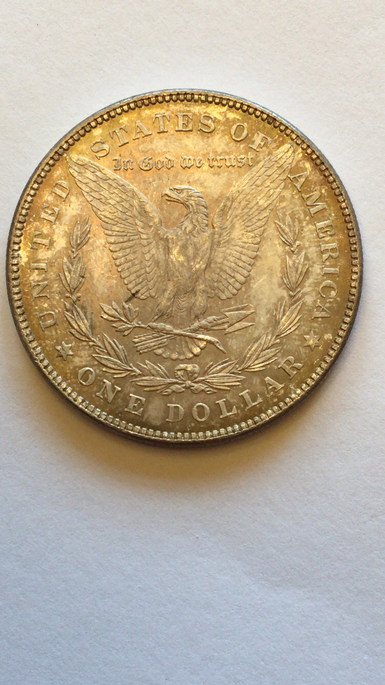1879-Morgan-7/8-Tail-Feather