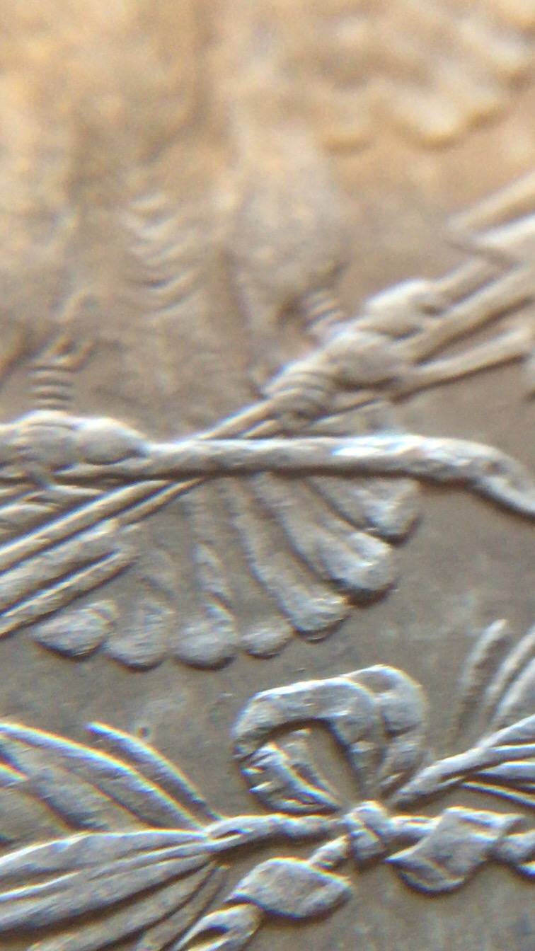 1879-Morgan-7/8-Tail-Feather