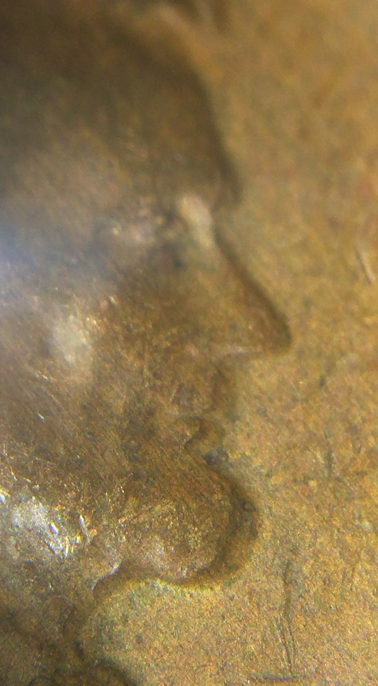My-First-Lincoln-DDO.-1967-Lincoln-Cent