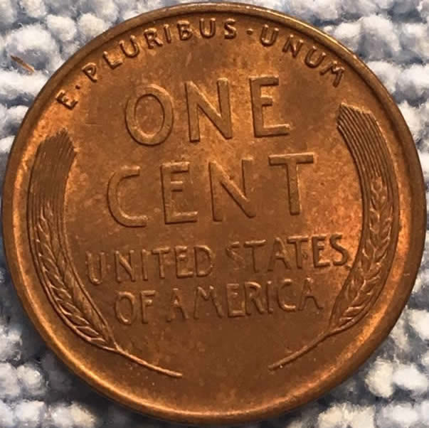 X2-1918-LWC-Both-Look-Alike