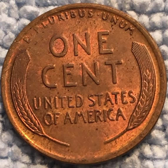 1919-LWC-Looks-Amazing