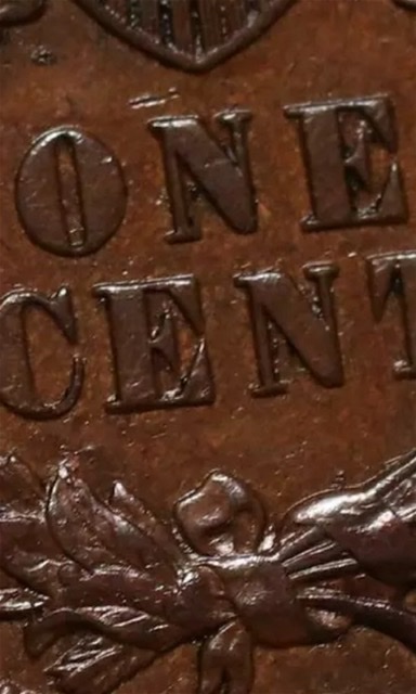 1896-P-Indian-Head-Penny