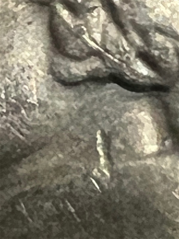 1950-D-Jefferson-Nickel-With-Struck-Thru-Error