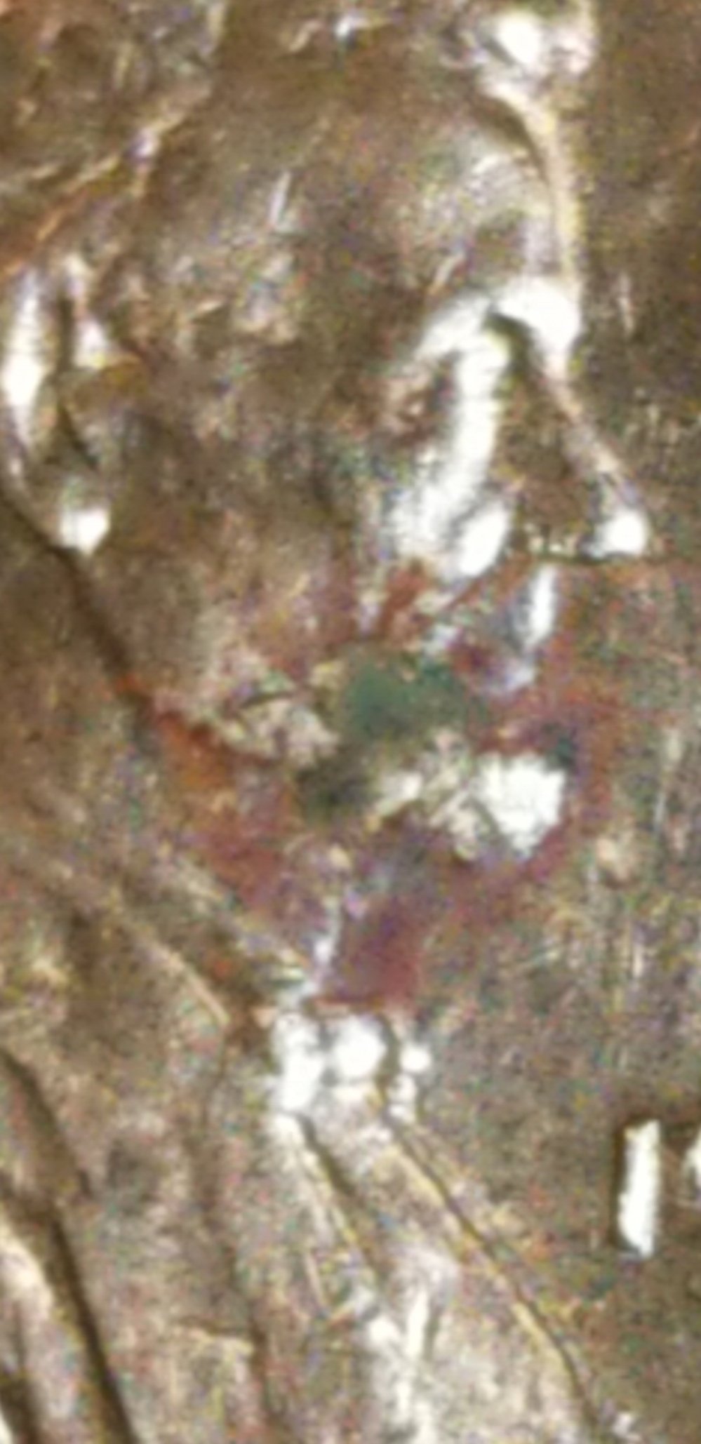 1985-Lincoln-Cent-Possible-Error