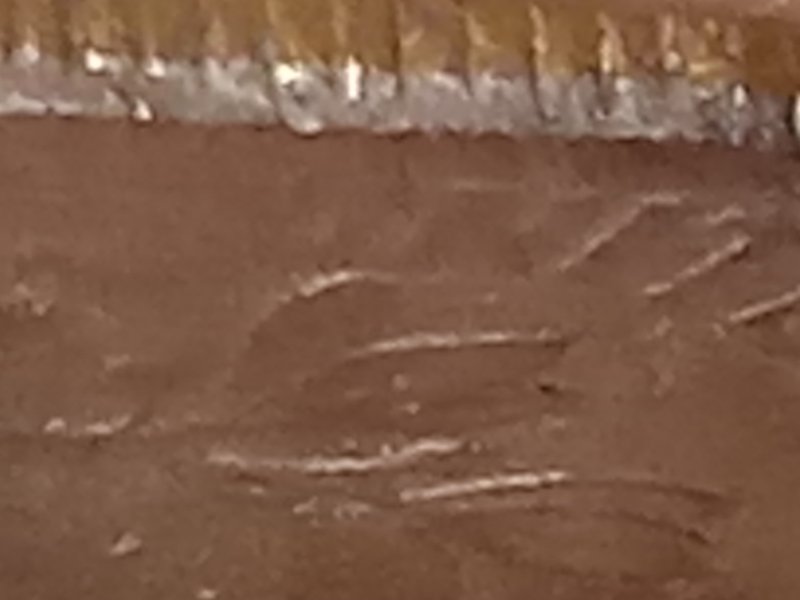 2005-D-Dime-Never-Seen-This-Before-Please-Help!