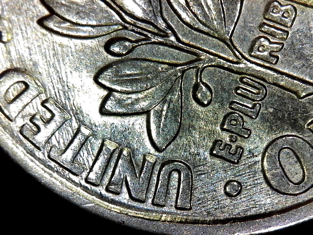 Is-This-Feeder-Finger-Damage?
