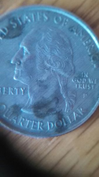 Quarter-Woody?-Check-This-Out