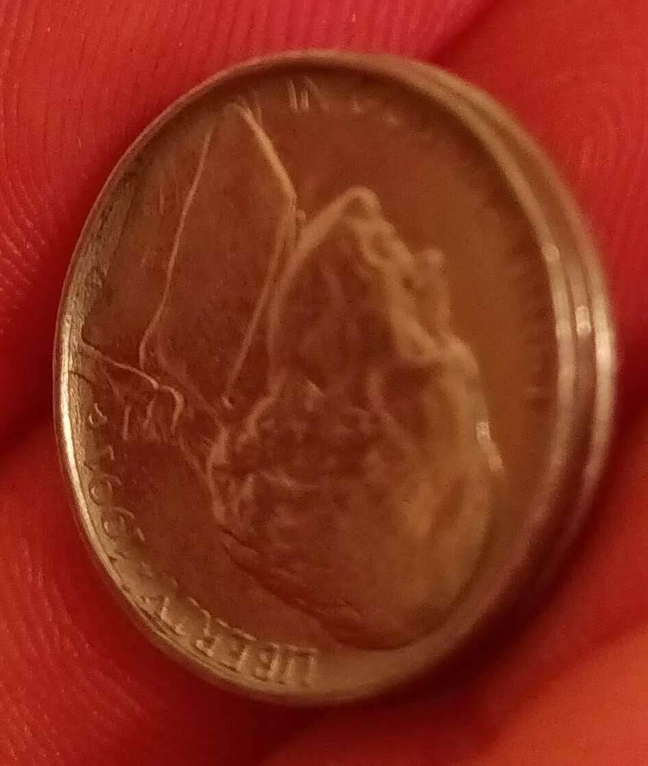 Can-Someone-Please-Tell-Me-What's-Going-On-With-This-1991-D-Nickel