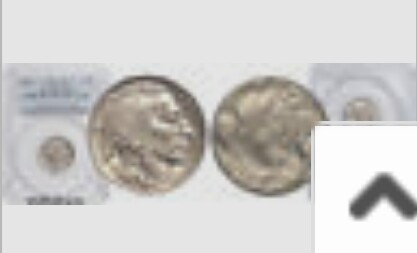 Two-Buffalo-Nickels-Struck-Together