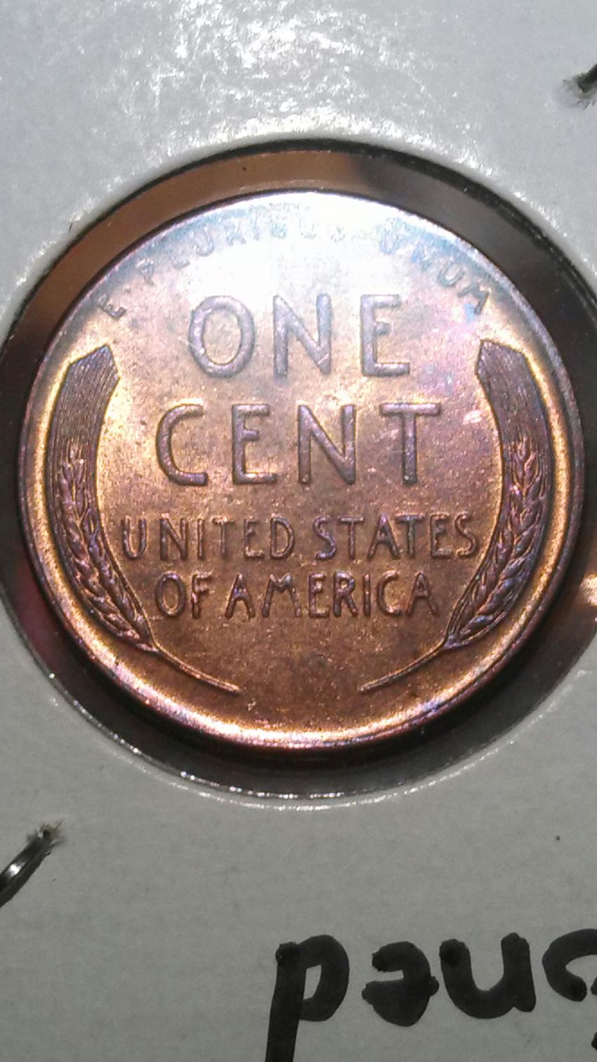 Eye-Candy-Corner:-Post-Your-Toned-Coins!
