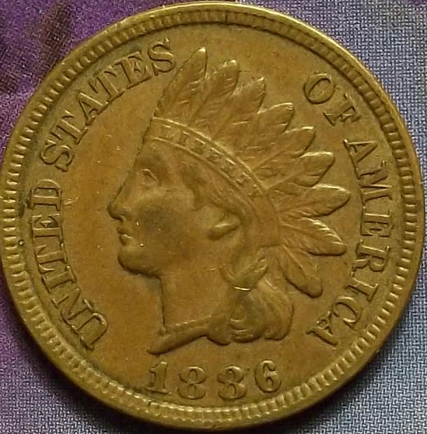 1886-Indian-Head-Cent-Type-2---What-To-Do-With-This?