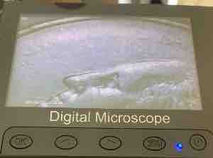 2008-New-Mexico-Quarter-With-Filled-Die-All-Over!-Has-Anyone-Seen-This-Before?