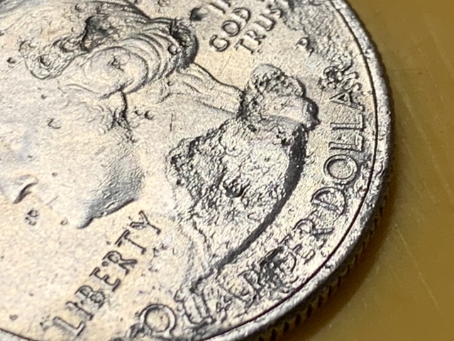 Error:-I-Think-2013-White-Mountain-Quarter