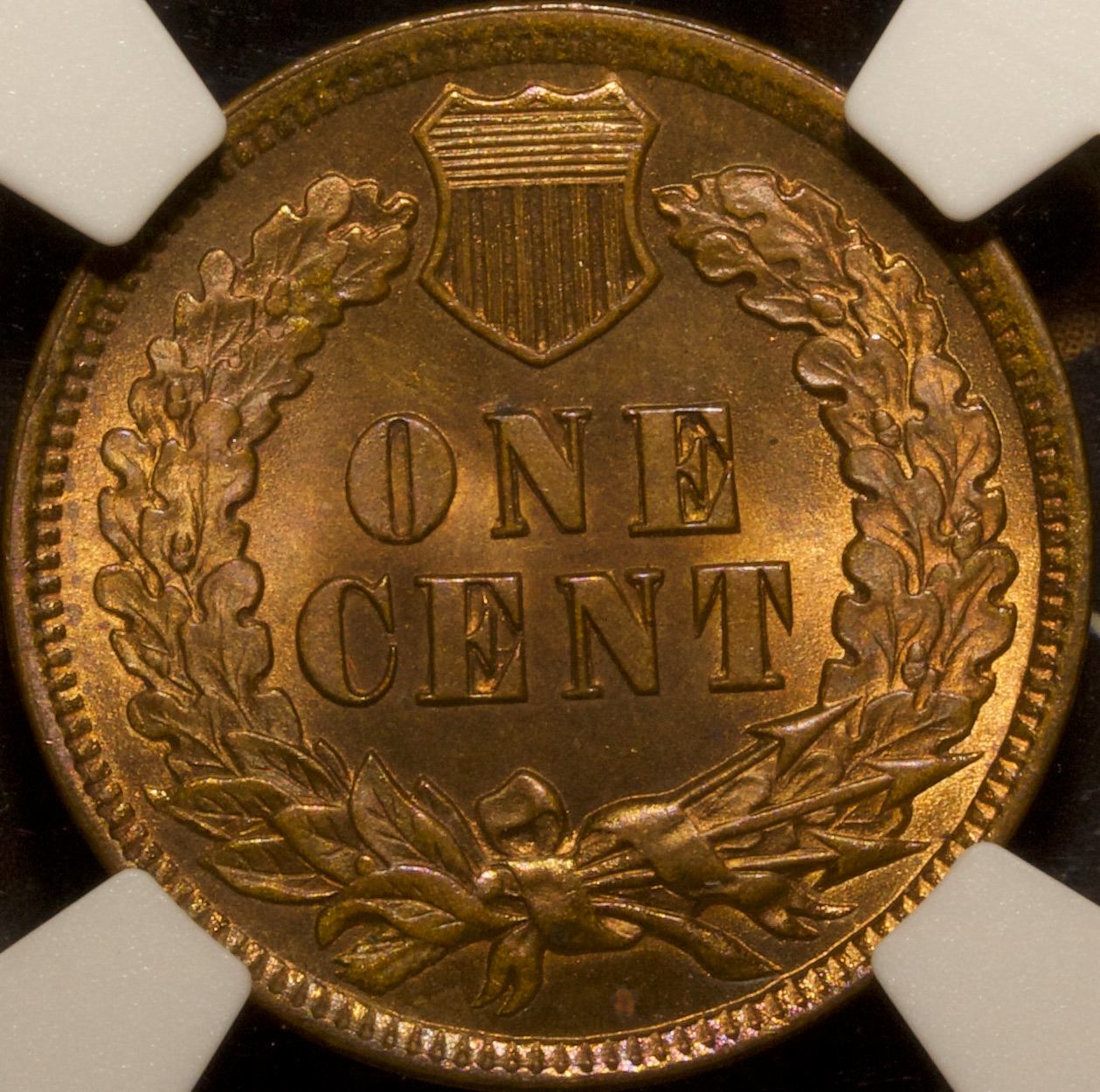 NGC-MS-65BN-1901-1c-Indian