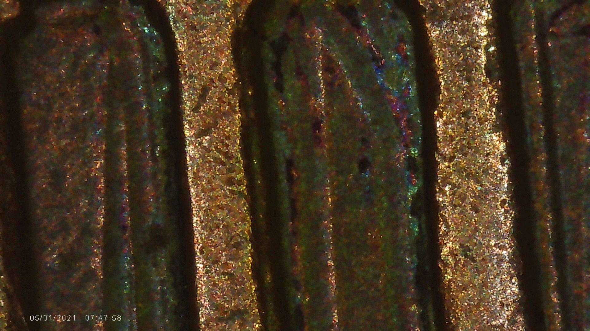 1999-Lincoln-Cent-DDR-Yes-Or-No-Major-Doubling-All-Columns
