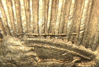 1922-P-Line-In-Tiara-#2-On-VAMworlds-Top-50-Peace-Dollar-Found!