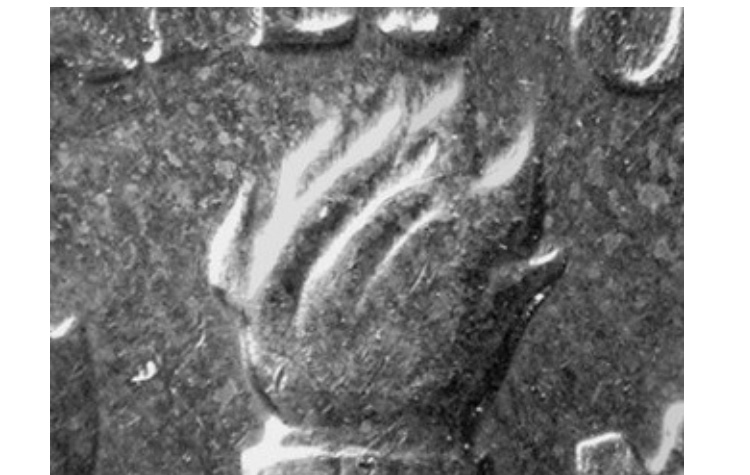 1971-D-Roosevelt-Dime.-Transitional-Reverse?