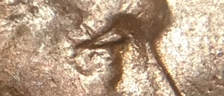 1927-P-LWC-Question-Concerning-This-Cent