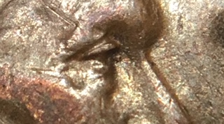 1928-P-LMC-Doubled-Eyelid-And-Think-It-May-Be-The-WDDO-002