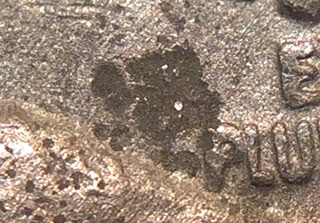 1937-P-Buffalo-Nickel.-Not-Sure-If-This-Is-Cast-Or-Not.