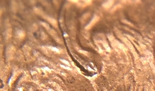 2000-P-LMC-The-Bottom-Of-The-Lobe-Is-A-Curiosity.