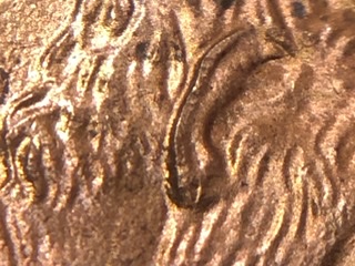 2000-P-LMC-The-Bottom-Of-The-Lobe-Is-A-Curiosity.