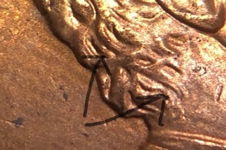 1999-P-LMC-Doubling-On-The-Hair-Details-Behind-The-Ear-And-The-Ear-Itself.