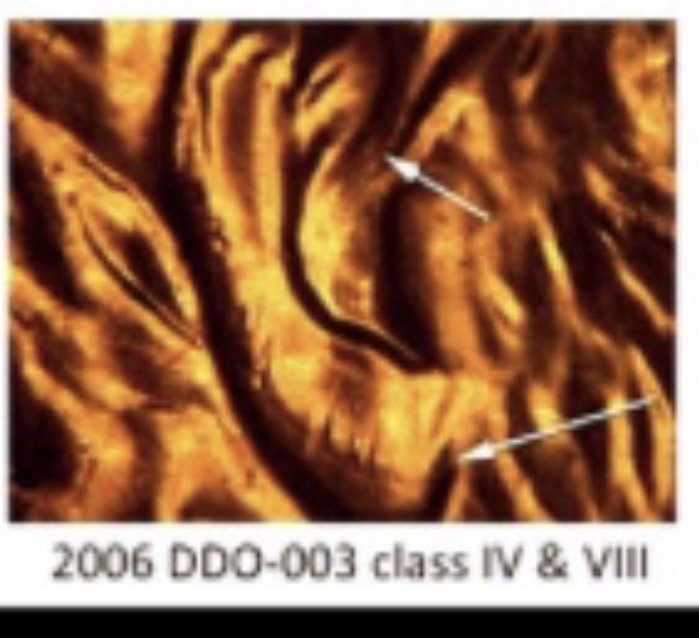 1999-P-LMC-Doubling-On-The-Hair-Details-Behind-The-Ear-And-The-Ear-Itself.