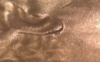 2020-D-LSC-New-Discovery-Doubled-Earlobe