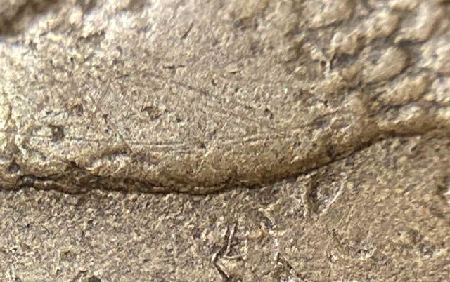 1858-Flying-Eagle-Cent.-Not-An-RPD,-More-In-Line-With-A-Doubled-Die.