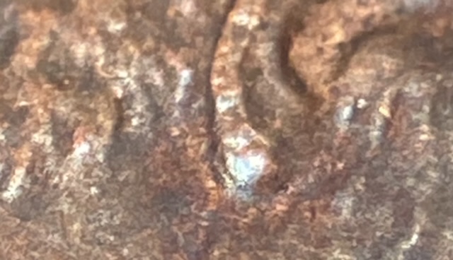 2000-P-LMC--This-One-May-Be-A-Tanman-Special,-Doubled-Lobe