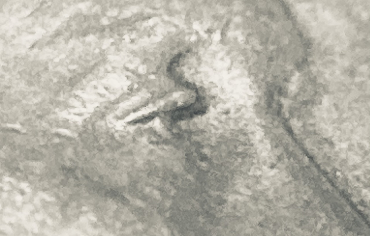 1939-P-LWC-DDO-And-DDR.