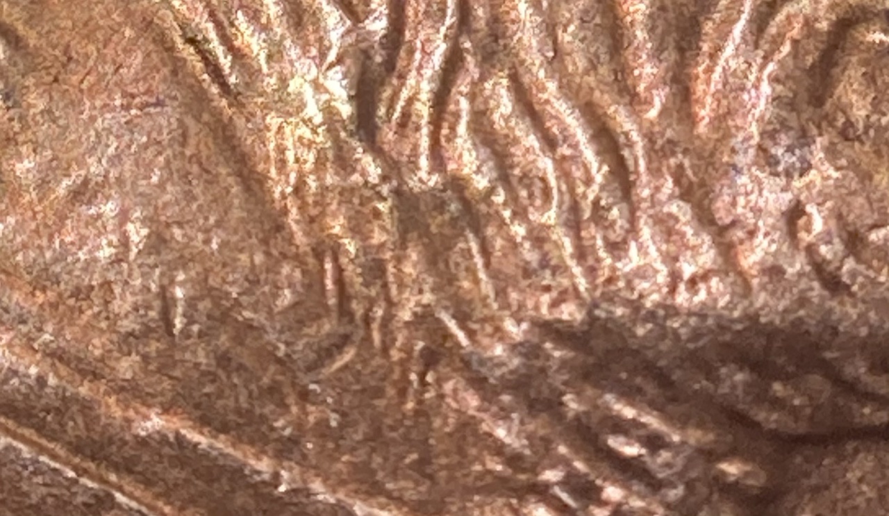 2000-P-LMC-Doubled-Beard?