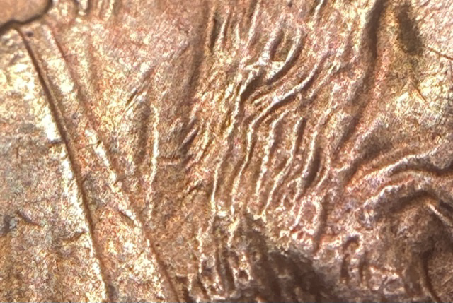 2000-P-LMC-Doubled-Beard?