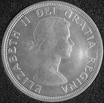 An-Idea-For-A-Coin-Picture-Posting-Theme