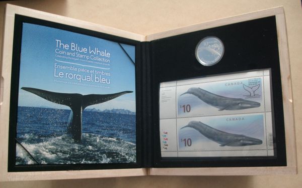 Examples-Of-RCM-Packaging