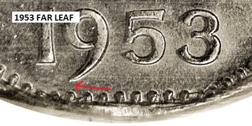 Are-These-53-NSF-Worth-Grading?