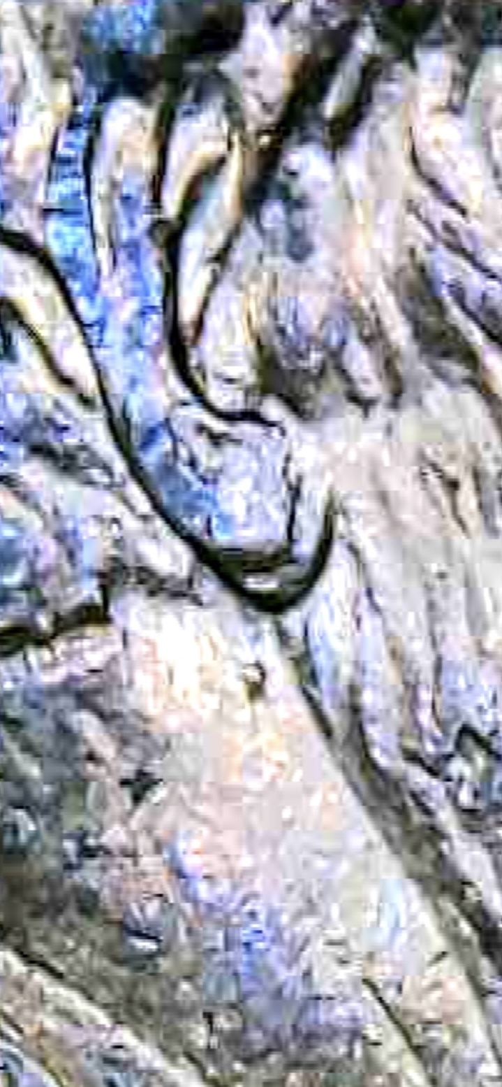 Possible-Doubling-On-2003-Lincoln-Cent