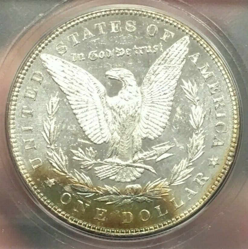 1886-Morgan-For-Grading-And-Other-Thoughts