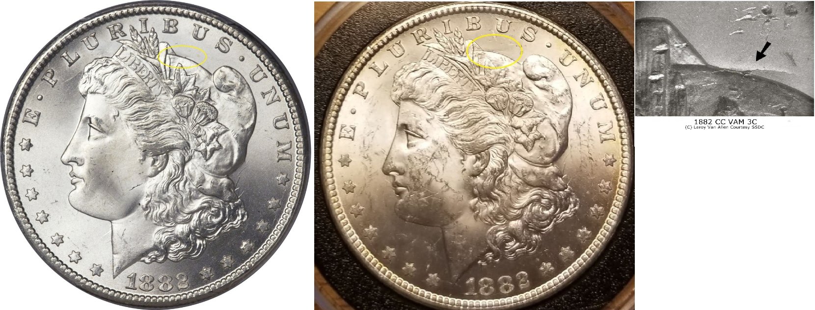 1882-CC-Morgan,-Bag-Fight-Victim-For-Grading