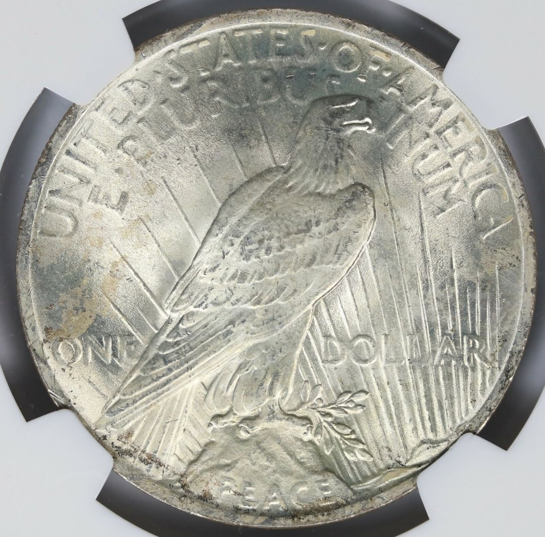 Continuing-List-To-Show-Everyones-Latest-Acquisitions