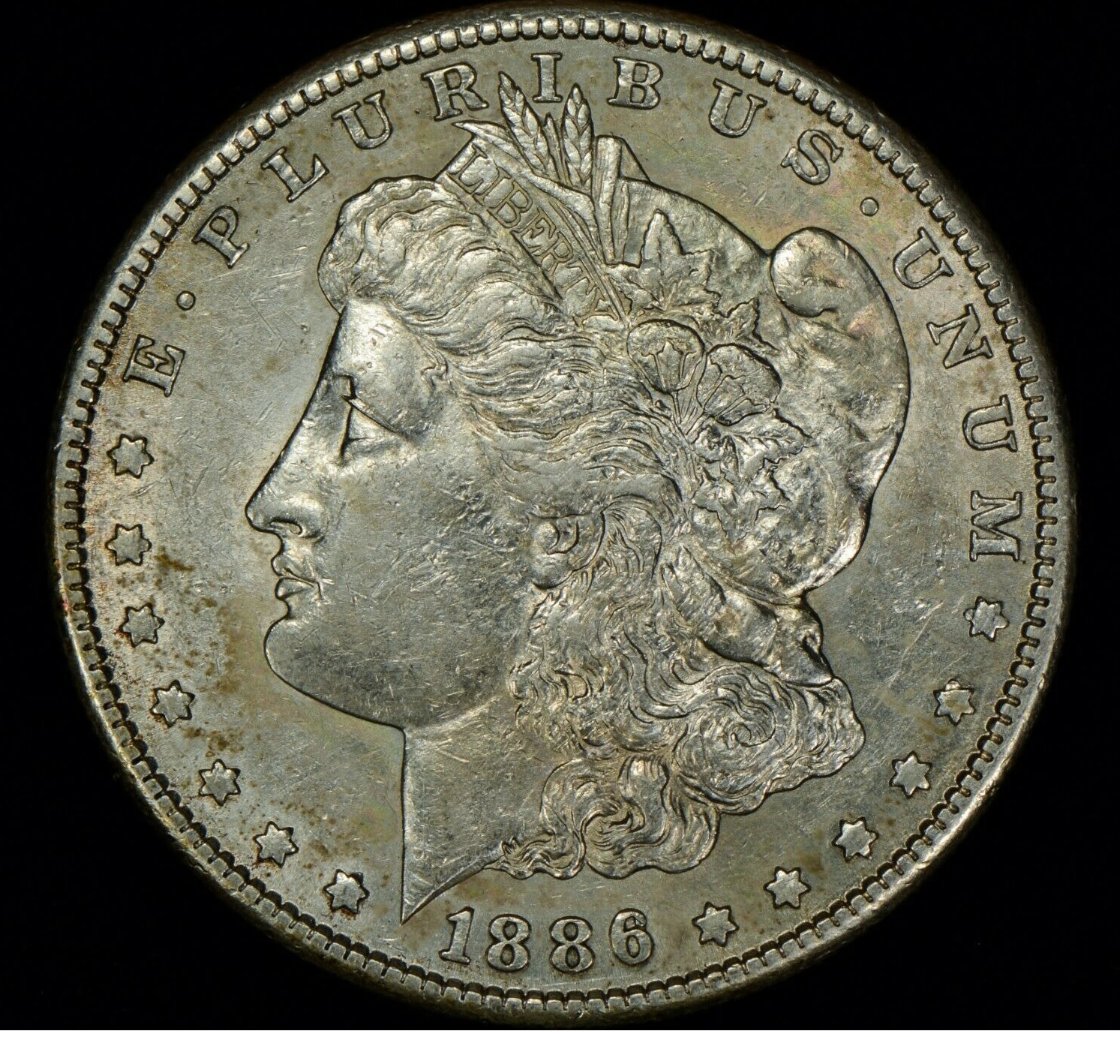 Help-Grading-This-Raw-1886-S-Morgan