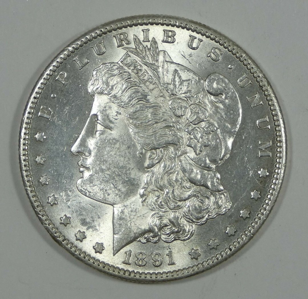 Please-Grade-This-Raw-1891-S