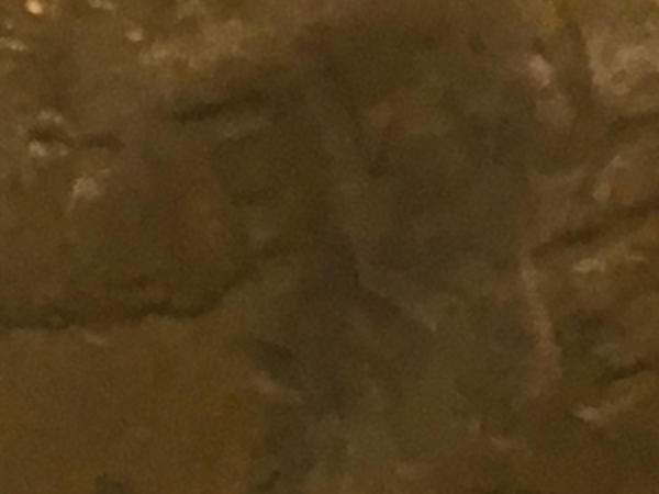 1942-Wheat-Penny-Error-Help