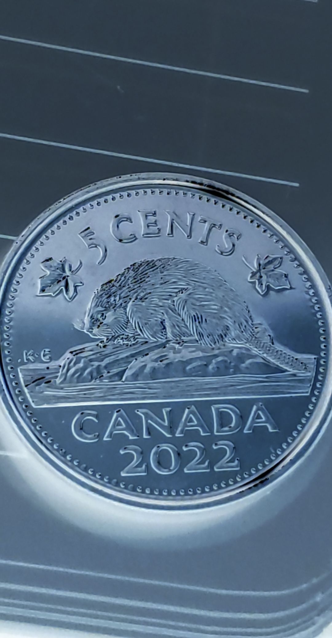 First-2022-Circulation-Coin-Find