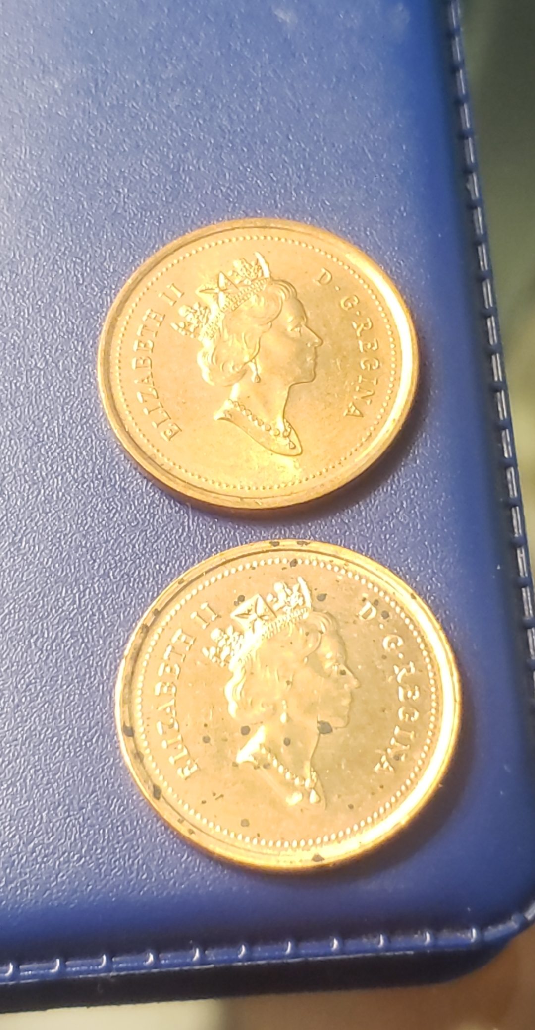 Liz-Vs-Tyson.-1998-Canada-Penny.-Missing-Ear.-Coincidentally-First-Year-After-Tyson-Incident.