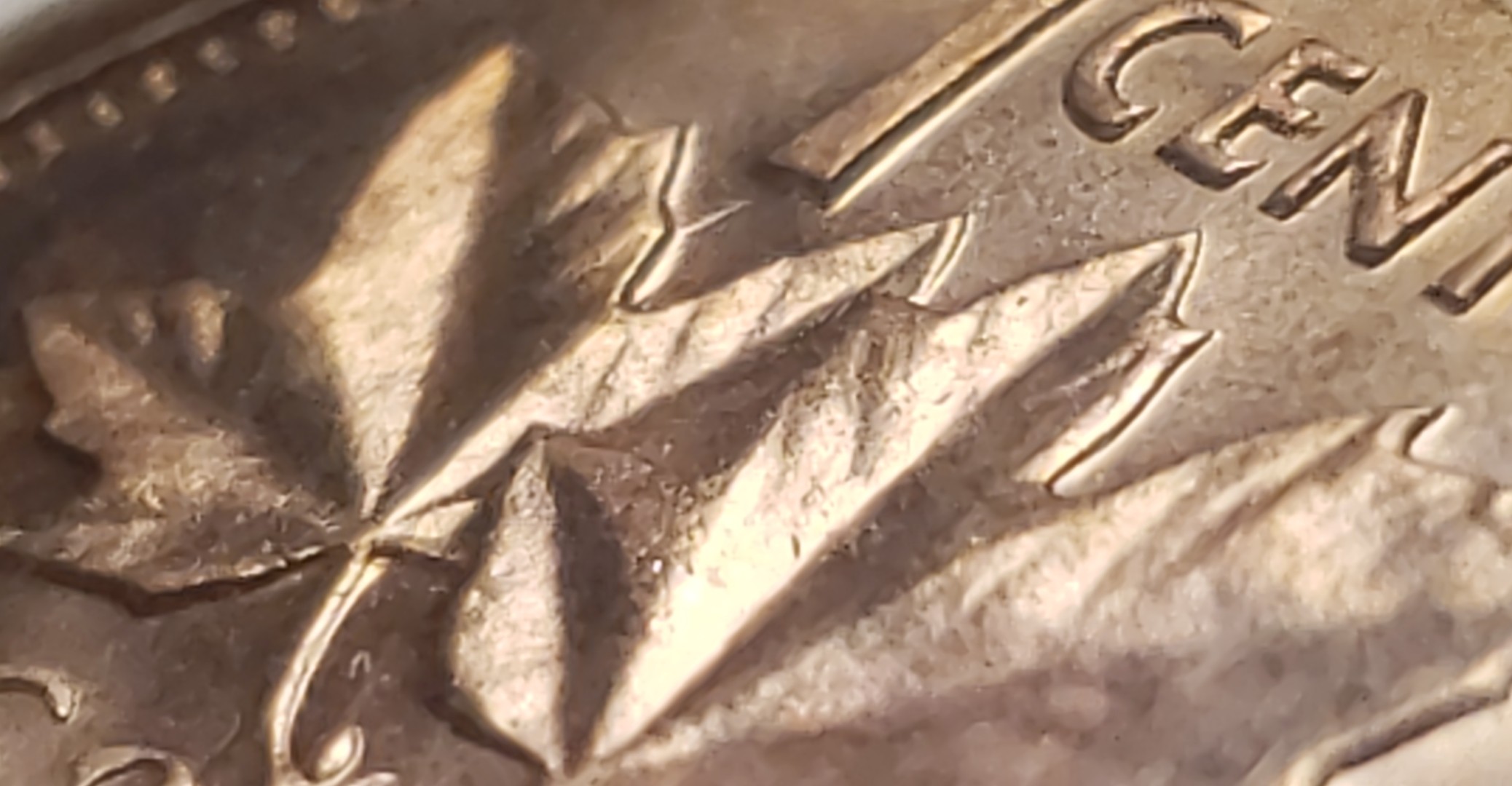 This-Weeks-1-Cent-Finds