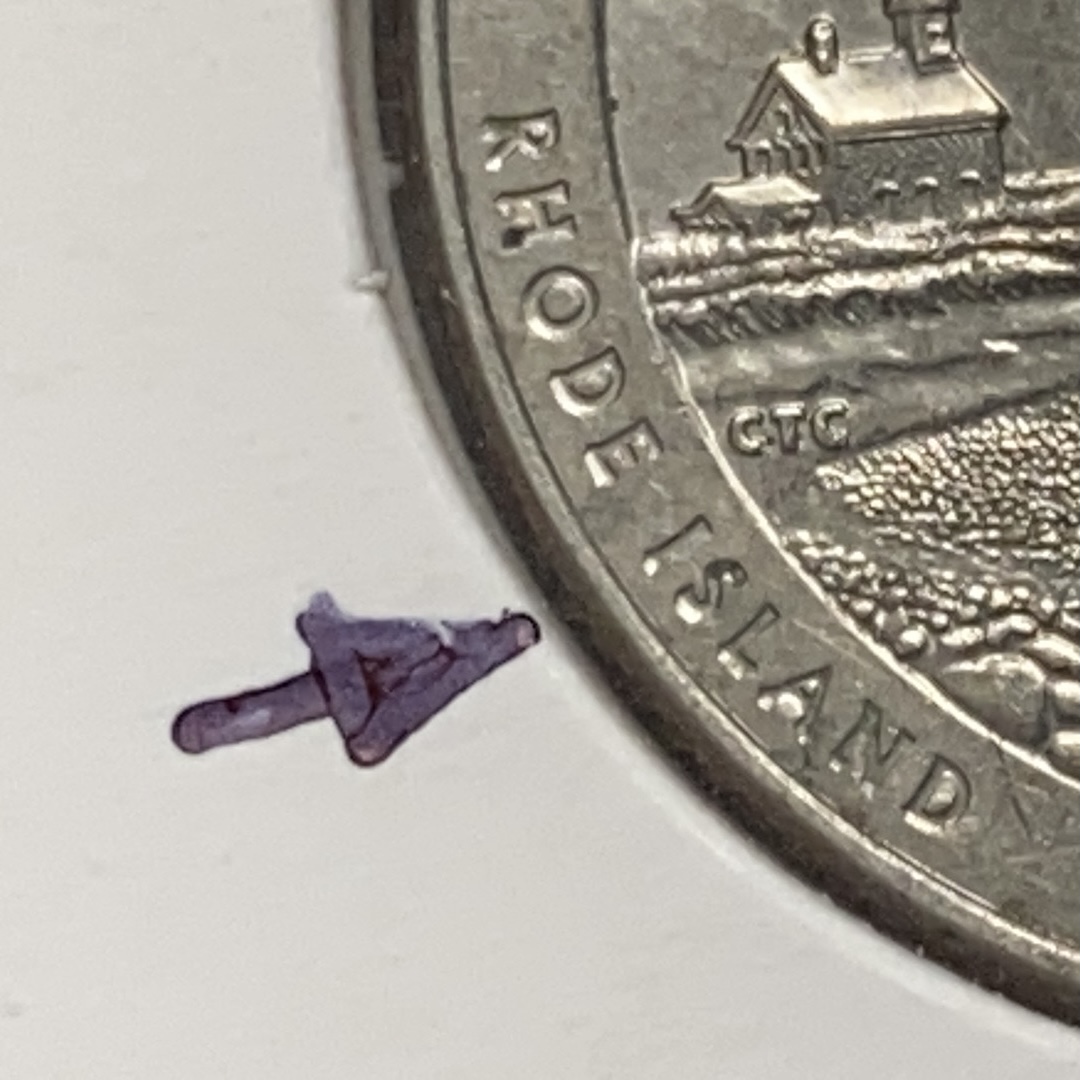 2018-P-Rhode-Island-Quarter-With-Possible-Doubled-Die-Reverse?