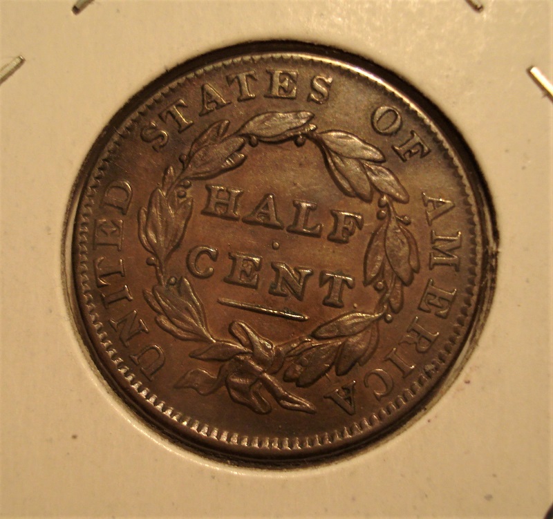 All-Members,-Post-Your-Most-Recent-US-Coin-Purchases!